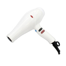 Contracted Style Strong Wind Power Professional Portable Negative Ion Hair Dryer